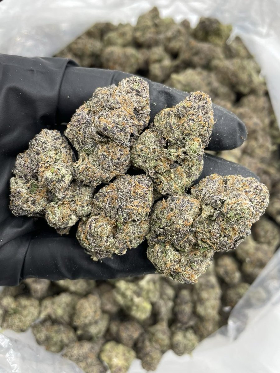 budpuffbox11021's tweet photo. Cherry Curelato 

$800 P
$400 Hp
$200 Qp

Tap in 👇 
https://t.co/nW6VAU52dP https://t.co/Mgvx8atXa2