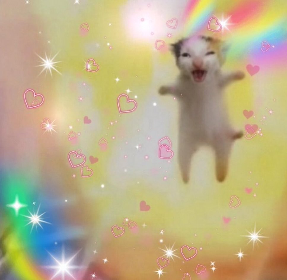 ecat_sol's tweet photo. 🌈 https://t.co/fJ5R82qwFF