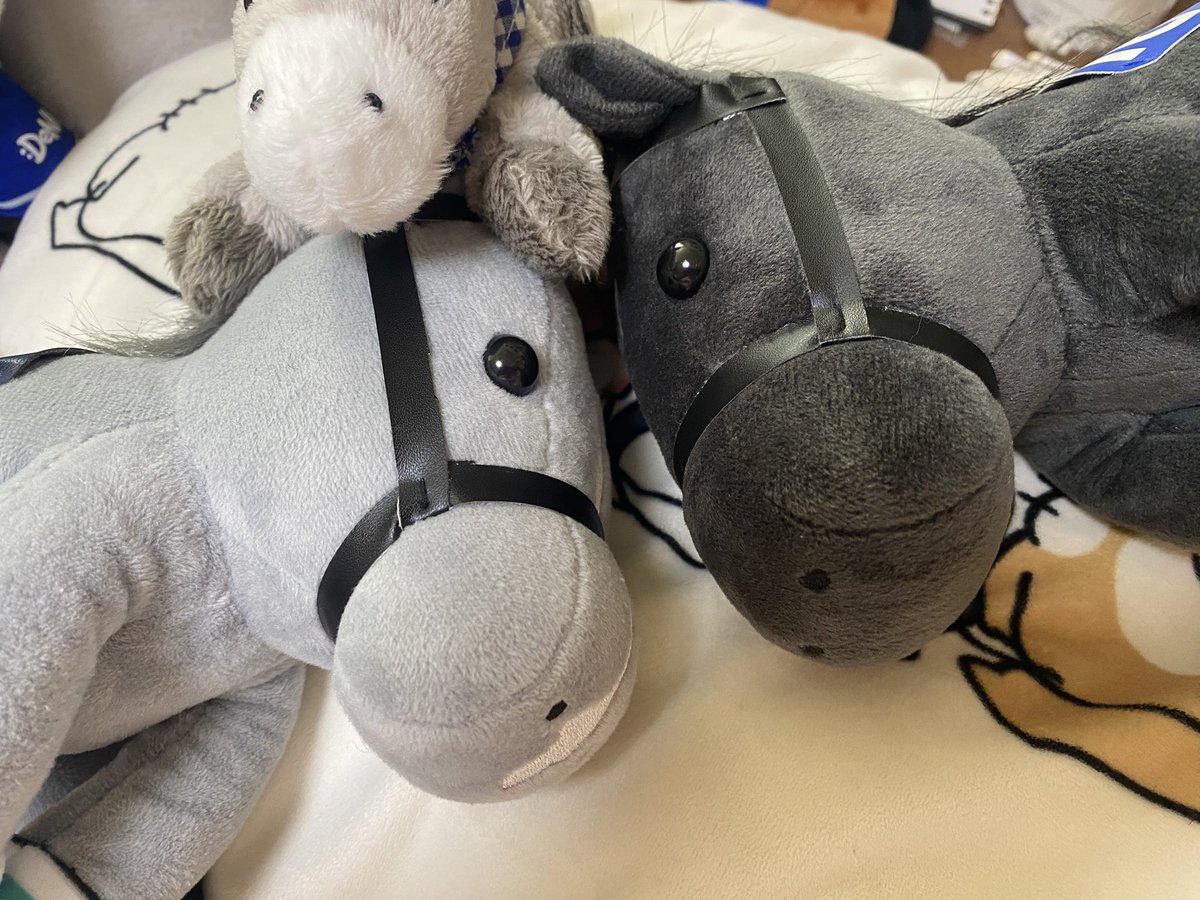 skymelody_67's tweet photo. 秋華賞。ドリームコアちゃん3着。

「ノームコアおねいちゃん…」
「悔しい…悔しいね…😭」

#アイドルホース https://t.co/9mVCQECuEj