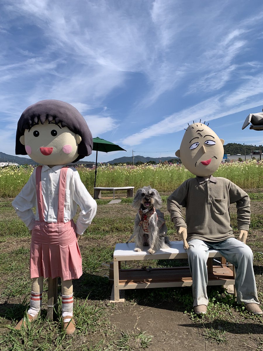 kumi7219's tweet photo. https://t.co/jLt8C6o5ZM