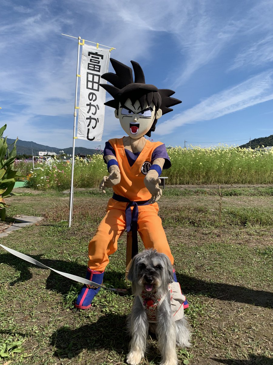 kumi7219's tweet photo. https://t.co/jLt8C6o5ZM