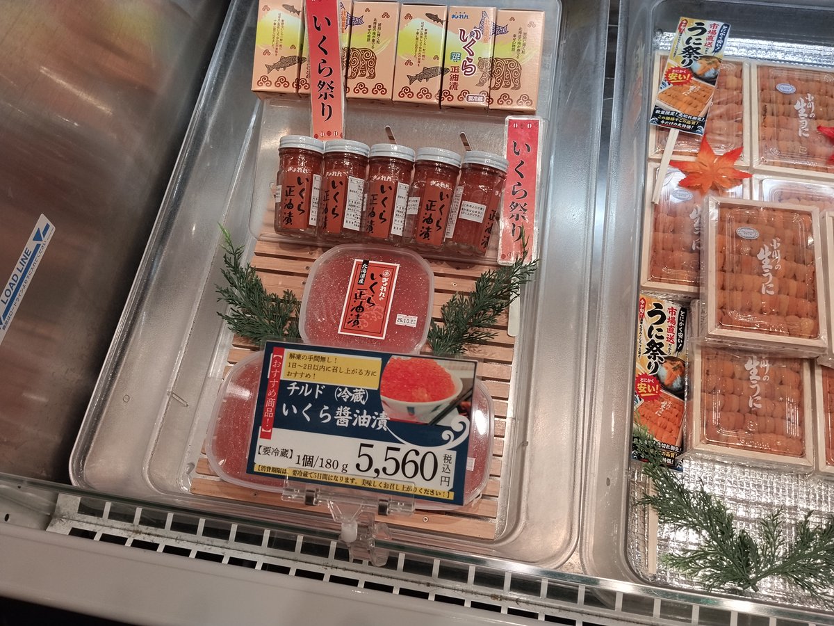 srkkramen's tweet photo. 北海道は予想の15%くらい寒いな❄️しかしせっかくラーメン道場来たのに腹が減っとらん。成田で中華そば食わなきゃよかった／(^o^)＼まぁ羊ヶ丘店行けばいいか21時までやってるみたいだし🏠️ https://t.co/eROfZDHH9L