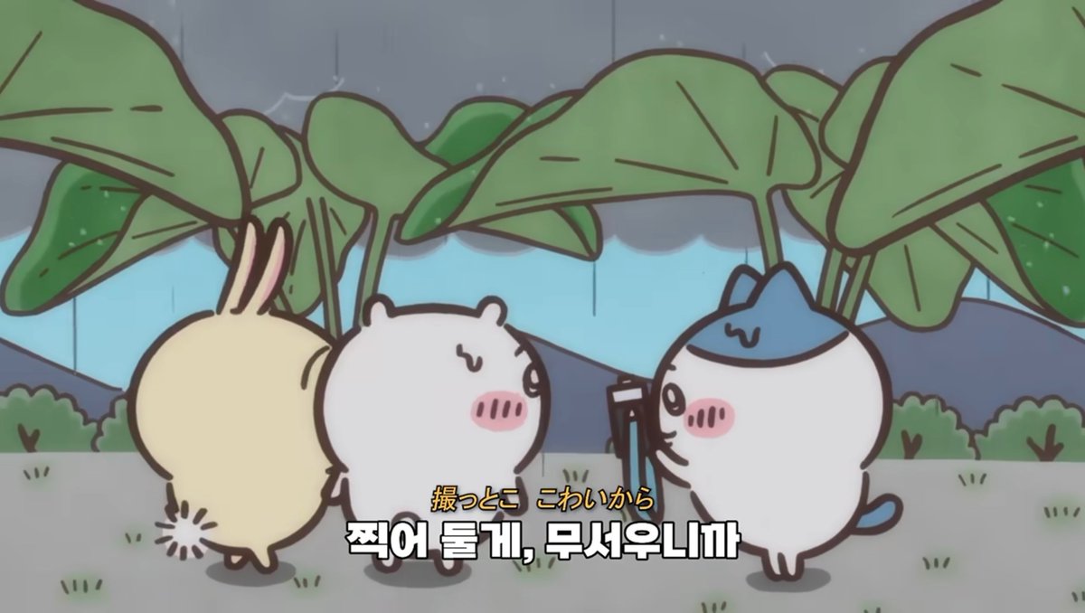 iiiihatemonday's tweet photo. 인어섬 OST 엔딩곡 듣다가...
왜 엔딩만 치이카와 성우가 불렀을까?를 생각하게 됐음.

가사가 영화 내용이랑 전혀 관계 없음!!
사진 찍어둘게, 적어둘게 땜에 하치 하나의 시점이라고 생각하기 쉬운데... 그럼 치이 성우가 부를 필요가?
친구들이 데카츠요가 되고 루프한 후의 치이 시점이 아닐까? https://t.co/UWmxlRO6C7