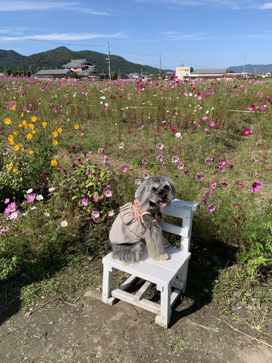 kumi7219's tweet photo. https://t.co/MBLExLHrhu