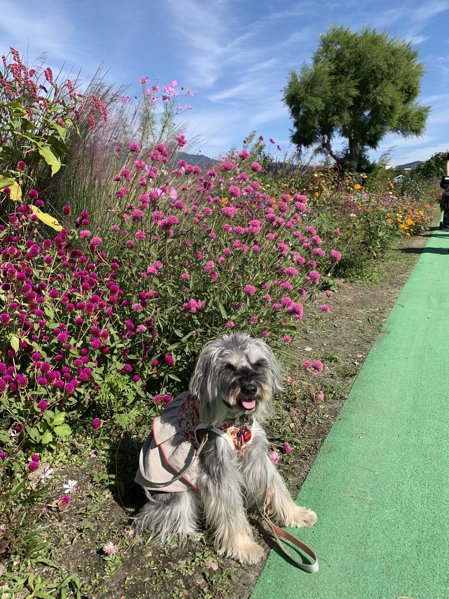 kumi7219's tweet photo. https://t.co/MBLExLHrhu