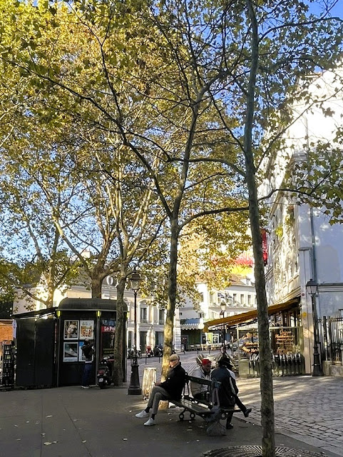 Paris_all_about's tweet photo. Let's have a return to a peaceful Paris.
Mon banc dominical / My Sunday Bench.
https://t.co/h61dduq8al https://t.co/ljJJUTmfng
