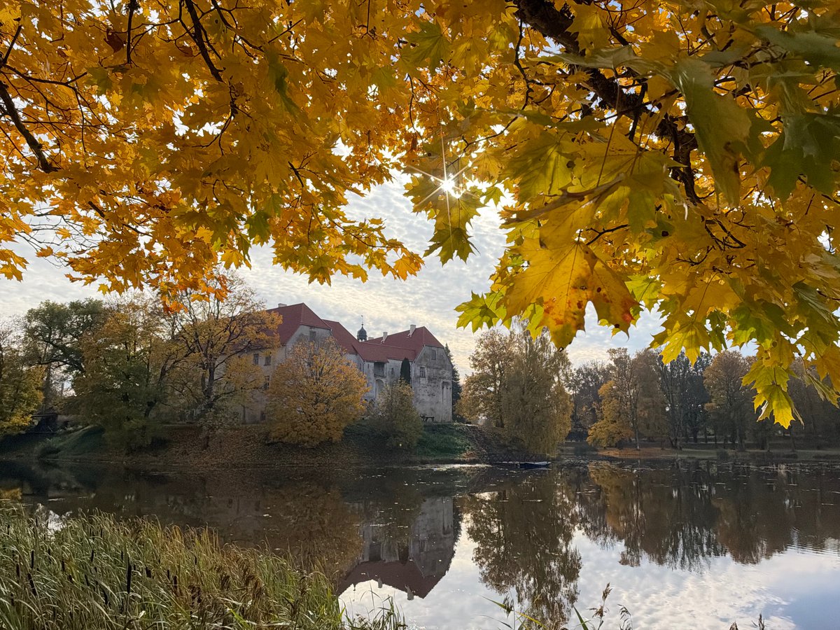 Gints_photo's tweet photo. Zelta rudens Jaunpilī #oktobris2026 #photography #latvia #lv #landscape #latvianature #baltic #visitlatvia #visitbaltic #travel #nature
@MeteoLatvia @laikpstakli @meteolapa @LatvianNature @LVGMC_Meteo https://t.co/ecpa4fTtZO