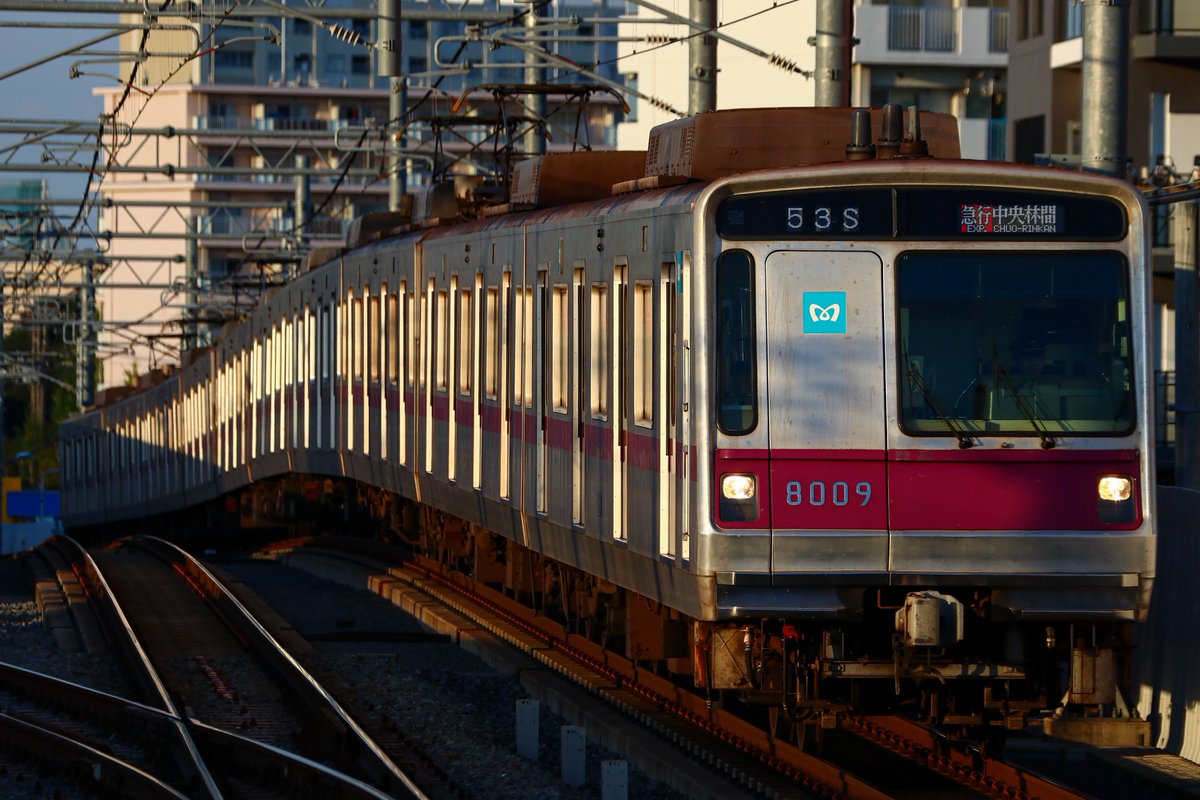 YoshiSeto54090's tweet photo. 2026.10.18
53S E1553S
急行 中央林間行き
東京メトロ8000系 8109F

ちょっと想定よりも影が伸びてしまい前面に少し
かかってしまって残念です。 https://t.co/tyLmnYjTN4