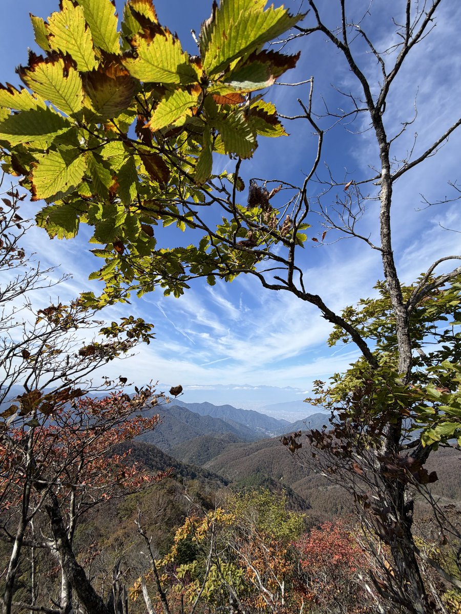 yukiholic2010's tweet photo. 昨日の滝子山。登ってきたのと反対方向の登山道にクマ出たらしい。
#登山 #滝子山 #秀麗富嶽12景 #山梨百名山 https://t.co/eV8wcSD4n9