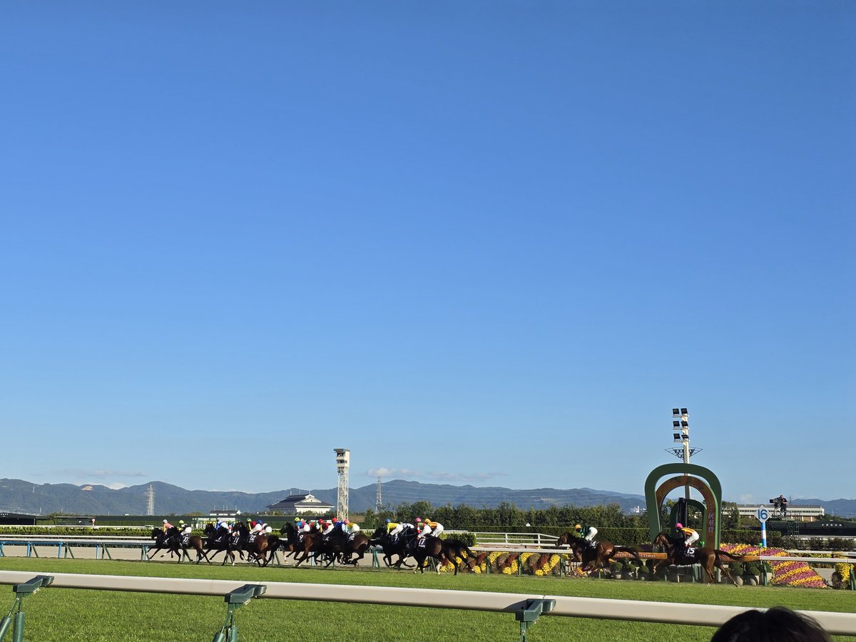 jsmalone32's tweet photo. ゴール前のかなり近くで見れた🐎　馬券はエンネからやったんでダメでしたが。。。　淀駅含めて改装されてめちゃ綺麗になってますな。 #競馬 https://t.co/A0XtQO47Rg