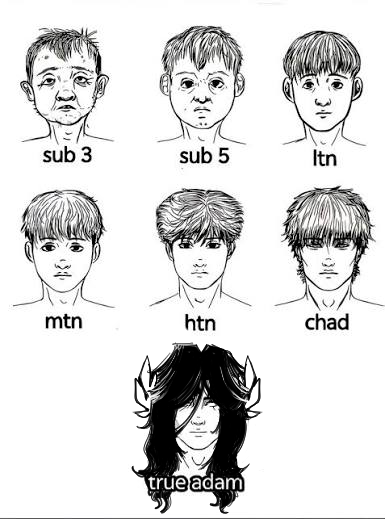 ShinyGroundon's tweet photo. which one are u
ᅟ https://t.co/i9oYbYpRft