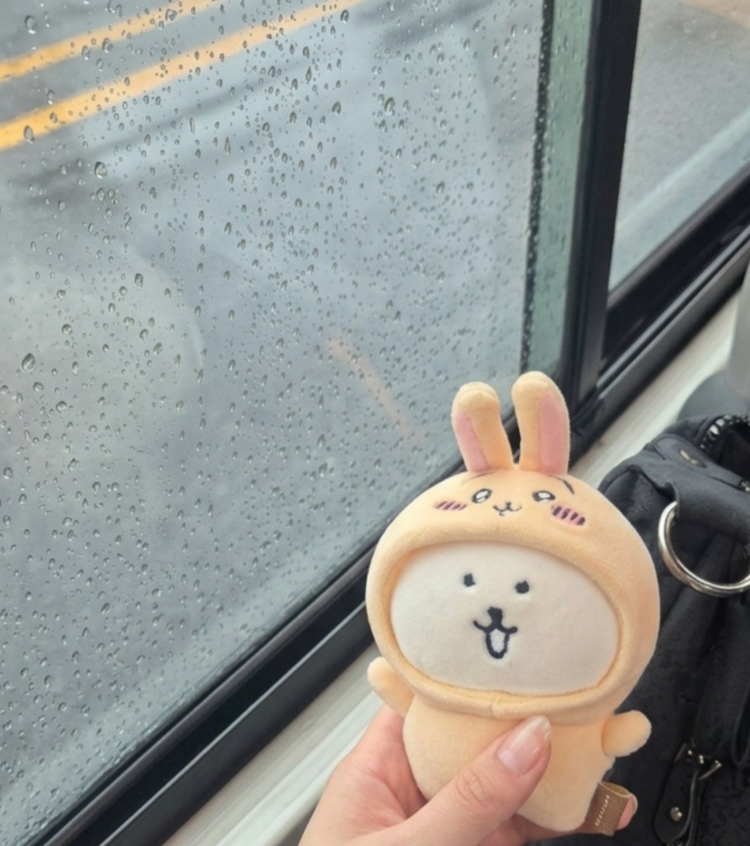 ddungddisagi's tweet photo. 오랜만에 달아본 우사기담곰이🥹🩷 꼬질해도 귀여워🫶🫶🫶 https://t.co/ZzU3b1UhlV