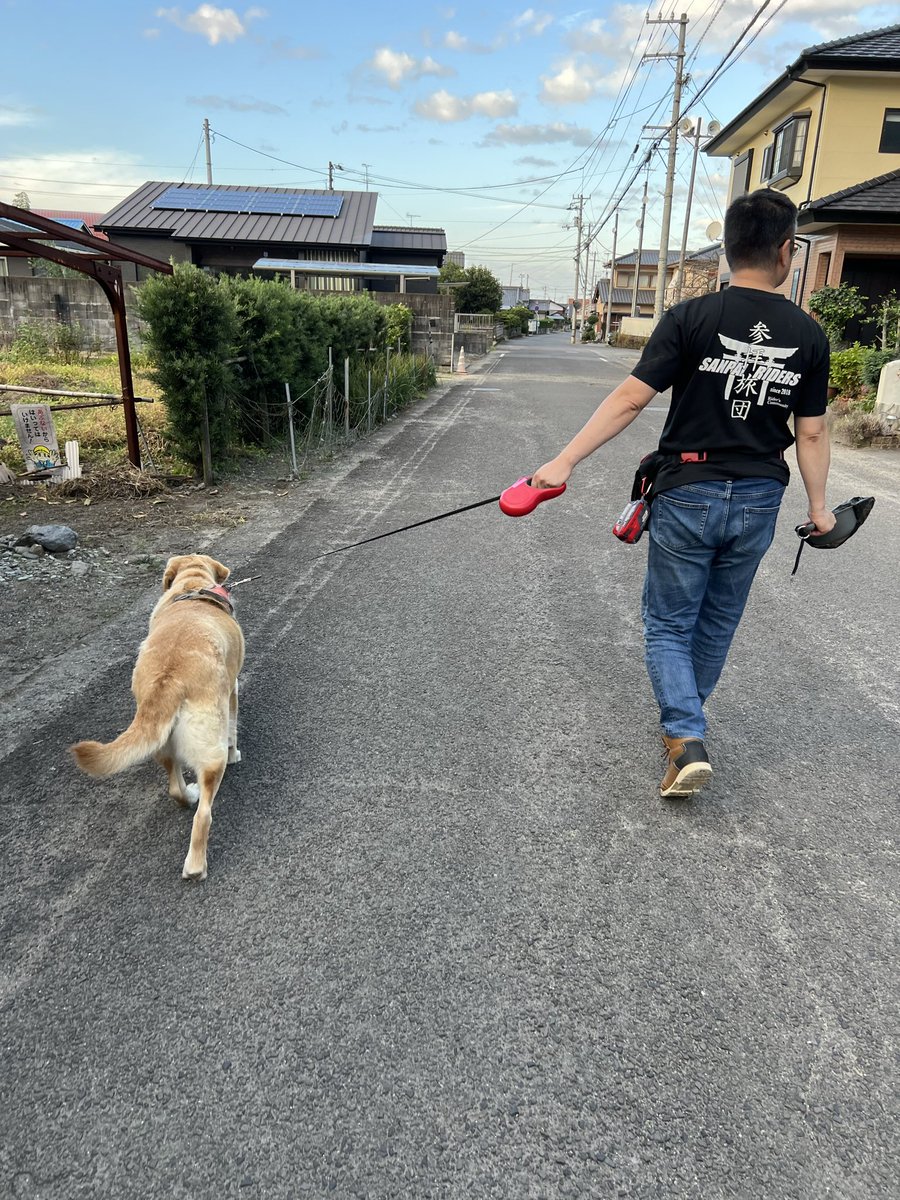 mayunori47's tweet photo. スペンサーのお散歩🐶 https://t.co/HvCETi5rBR