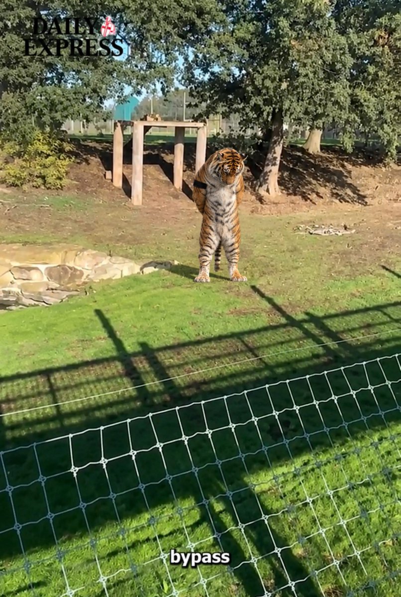 asyouwereS6's tweet photo. Fucking visiting idiots are expecting this https://t.co/x3TSe33edd