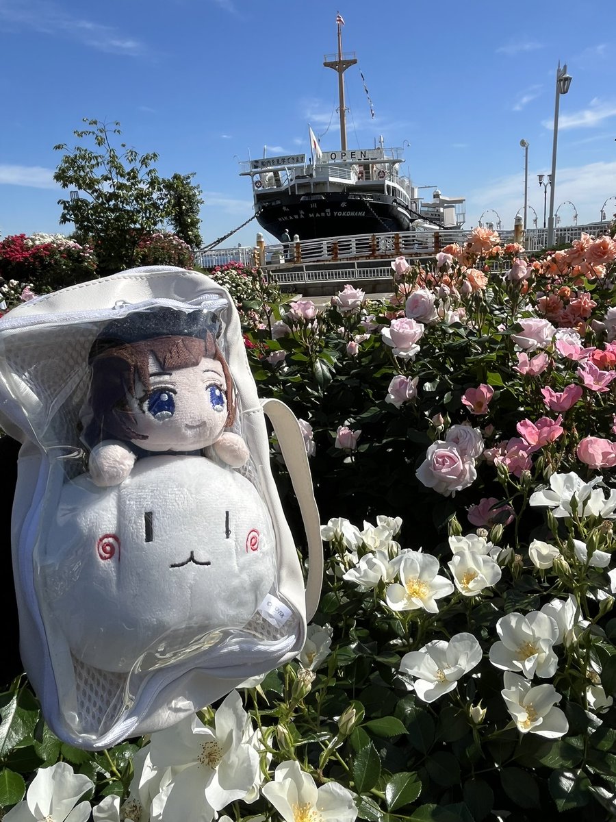 gc1080trpg's tweet photo. せっかく色んな方がそらぱで横浜来られるのならこんな場所どう？みたいな
・山下公園(秋薔薇の時期良い感じ
・港の見える丘公園(秋薔薇と洋館見学無料で楽しめます)
どちらも画像は春です。
中華街や赤レンガもありますが、博物館や美術館も充実(ツタンカーメンやら京急やら特化したものも。 https://t.co/AcS3mEshXA
