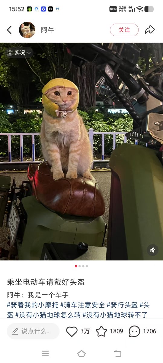 GETGEORGEMEME's tweet photo. 这个安全猫今天火了     最原始图是在小红书上一天就三万点赞      头盔是柠檬皮的，项圈是限量的，站在摩托车上心态稳稳的。安全第一  .不是口号，它真的已经先做到了.
安全猫上线，
全场最稳。 我们需要一个稳稳的MEME       QQQ发射    小红书链接  https://t.co/Dl8xsUuA5d https://t.co/GOlUWZSjpu