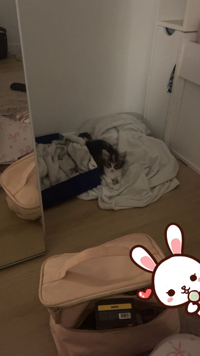 naay_mll's tweet photo. dump de ma semaine de merde https://t.co/jmt7xTIkLA