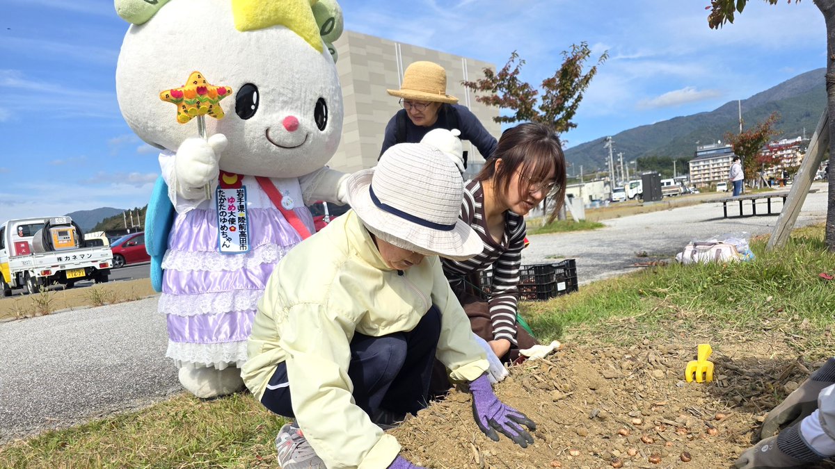 takata_yumechan's tweet photo. 地元でがむばるゆめちゃん☆
今日は日蘭友好広場にチューリップの球根を植えてきたよ〜🌷
春が楽しみっ♡
＃陸前高田
＃チューリップ https://t.co/VOAhGbrmyP