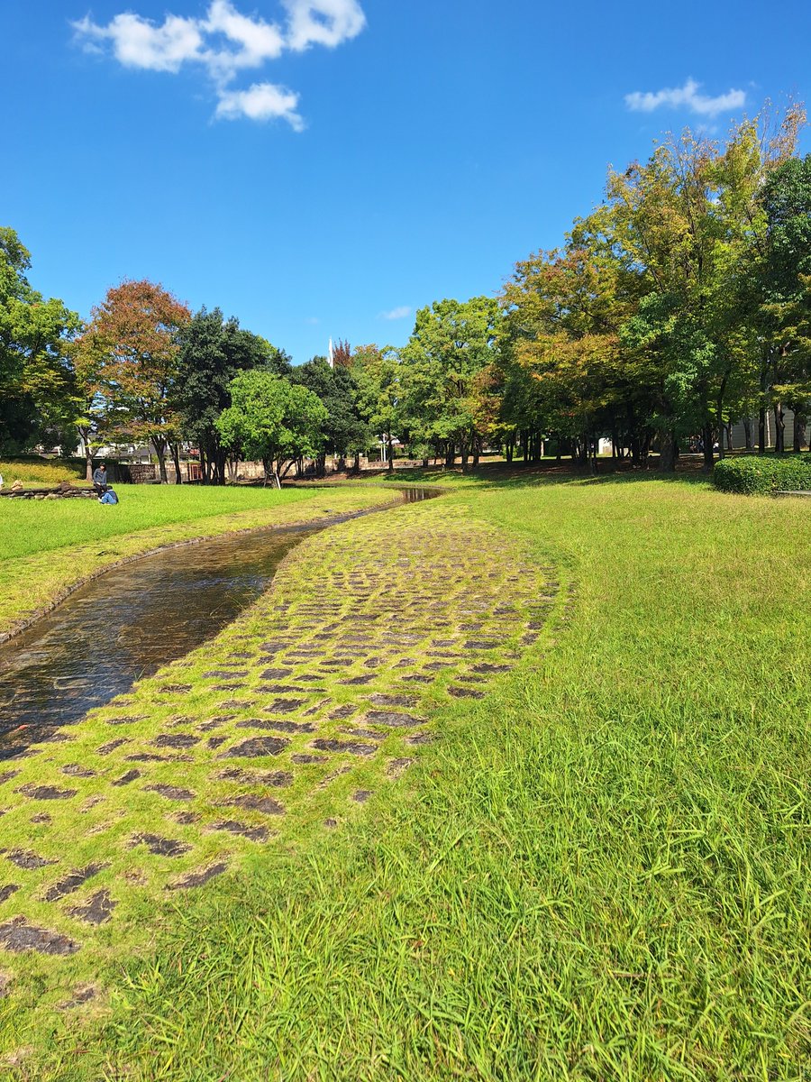 brilliantmikit's tweet photo. 岐阜県美術館
フランス近代絵画の祝宴✨
クロード・モネ
ロンドン、チャリング・クロス橋
オディロン・ル��ン、ルノワール、ピカソ、ゴッホ、大変良かったです✨
とりあえず図録とモネのビニール傘
複製画を購入🤭

#岐阜県美術館
#フランス近代絵画の祝宴 https://t.co/dkYGr00ygZ