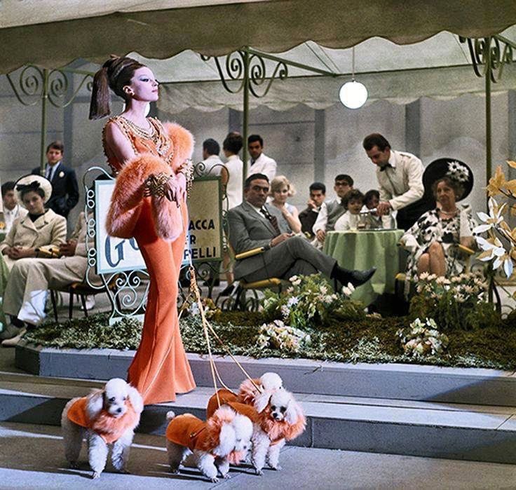 ifuliedownhere's tweet photo. Fashion in film https://t.co/s2QdHdnNEX