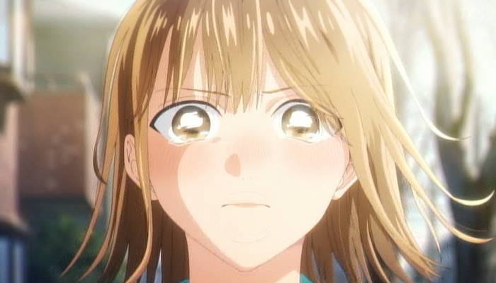 アオのハコ 第28話 ツイート画像 1
