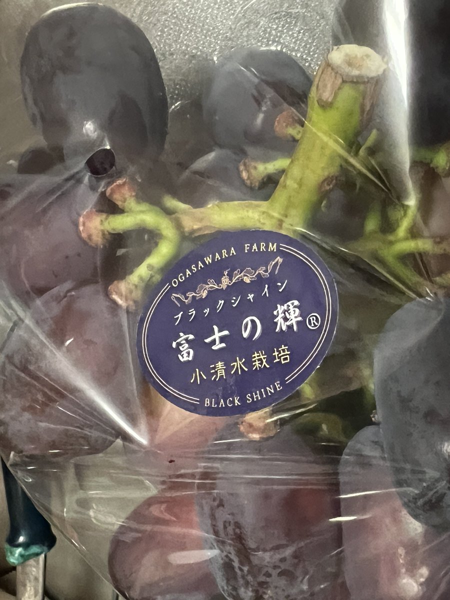 Pico_SnowDrop's tweet photo. 帰りに寄った山辺ワイナリーの直売所でブラックシャインを買ったよ。めちゃんこ美味い！
通販だと13000円するやつが2000円とはびっくりだや。 https://t.co/Uf2uP8gYyB