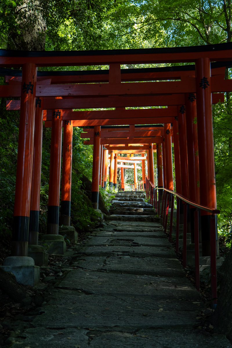 GunBoy0701's tweet photo. 上賀茂神社 京都市
静かな秋のひととき。 https://t.co/FOyL2HV64h