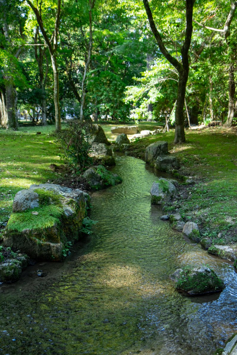 GunBoy0701's tweet photo. 上賀茂神社 京都市
静かな秋のひととき。 https://t.co/FOyL2HV64h