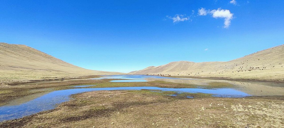 AzmiAmeera's tweet photo. rich street clean https://t.co/Tk9R46lMNE