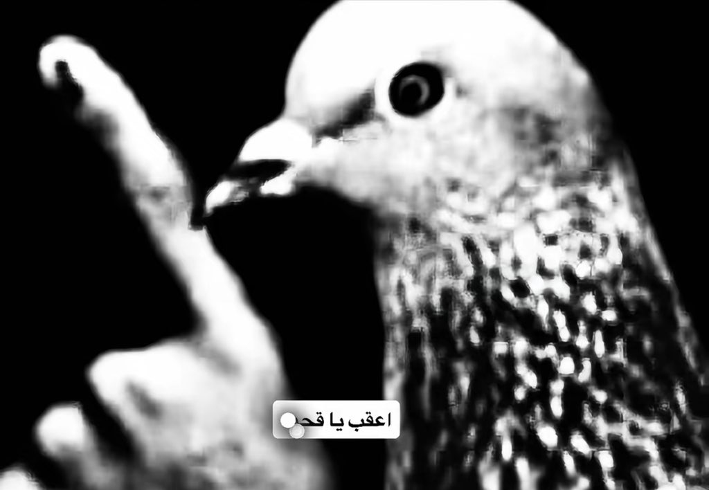 mr7_zz99's tweet photo. @LstiGfinj https://t.co/ZjK5ri6fRe