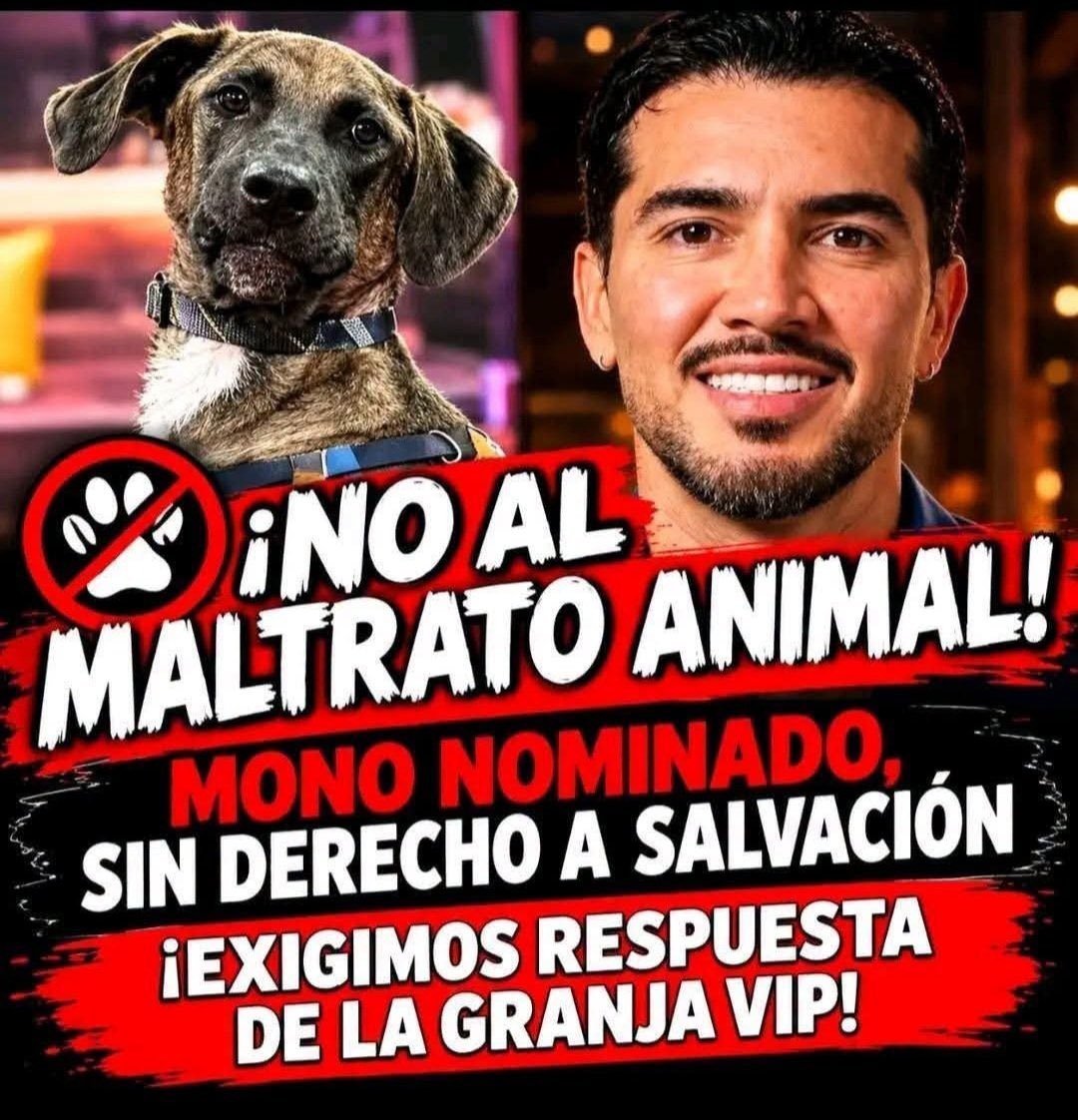 Agaytanmva13's tweet photo. #lagranjafraude https://t.co/bqdJekzANa