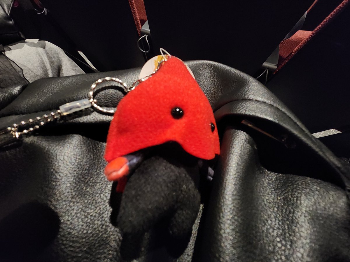 Porte_1111's tweet photo. 今日は忘れずにつれてきた https://t.co/DY7HXVTWKn