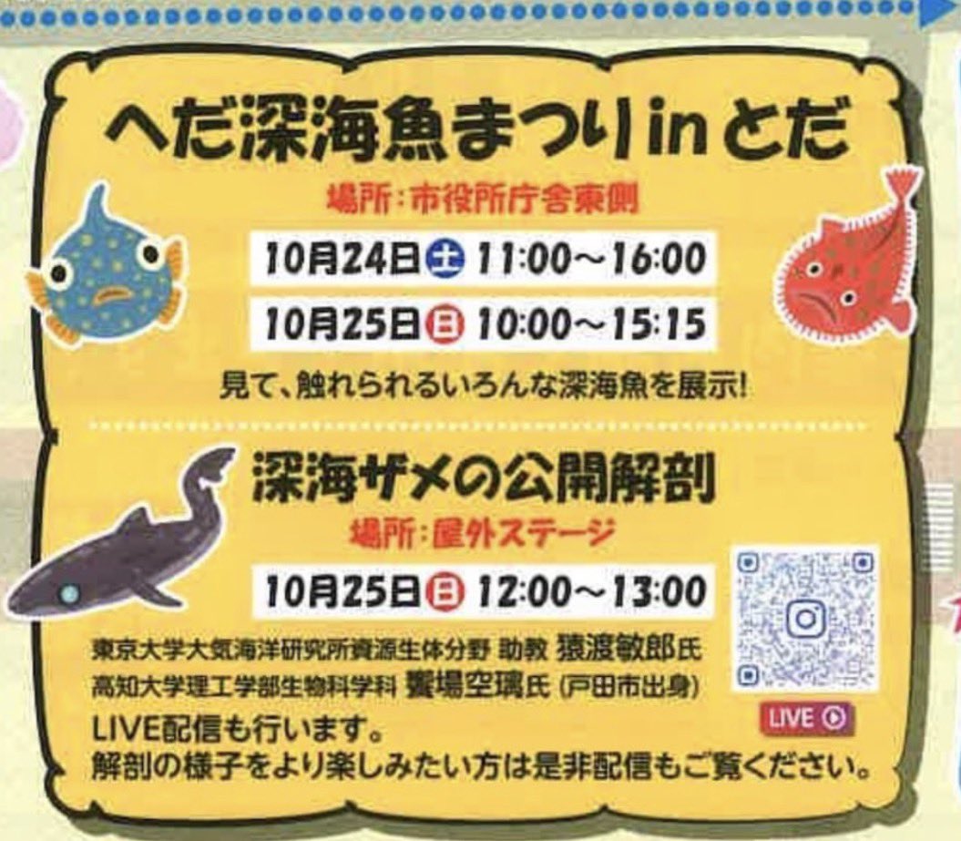 Sorari_Aiba's tweet photo. 今年も開催します！
来週2026年10月24日（土） 11:00-16:00・25日（日）10:00～15:15 に「埼玉県戸田市」の戸田市役所で開催される商工祭にて駿河湾産の深海生物を展示します！
皆様のお陰で今年で7回目の開催を迎えました。
今年もお楽しみ頂けるよう頑張ります
詳細や過去の様子はリプ欄にて！ https://t.co/gFyNthmcpk