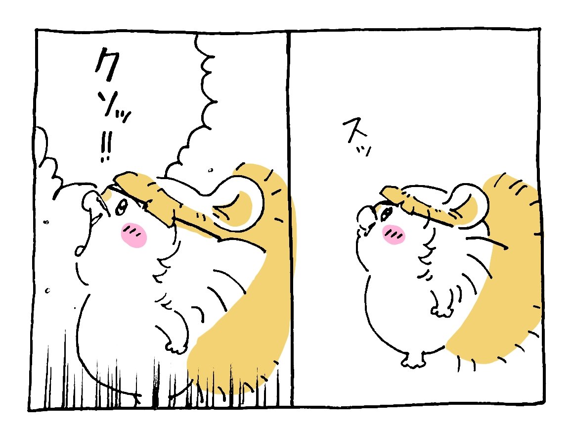 piyopiyo_ppp_oO's tweet photo. 既視感これだった。 https://t.co/OPNSFQCeui