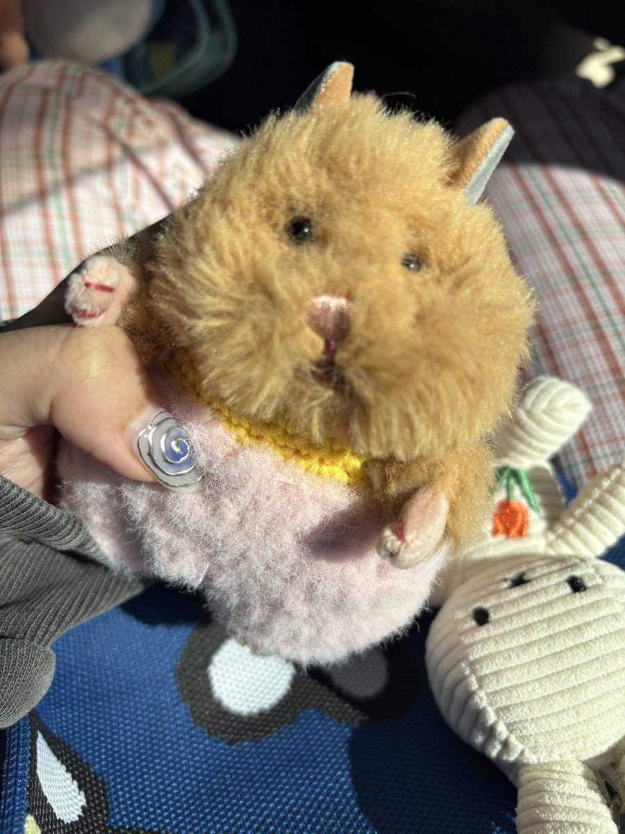 Uniatwa's tweet photo. でかでかおぱんちゅ編んだり、
ポシェットにパン詰め込んだり、
冬に向けてマフラー編んだり！🧣💖

#はむにぎり
#ぬい活
#編み物 https://t.co/9nPSBww2J0