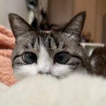 Photo by Wory .Com (@ComWory_JP)