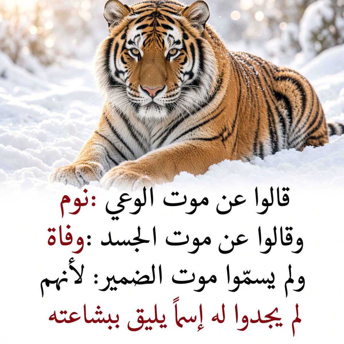 ShabboJan's tweet photo. شعور کی موت کو نیند کہا گیا ہے 

جسدِ عنصری کی موت کو وفات کہا گیا ہے 

لیکن ضمیر کی موت کو کوئ نام نہیں دے سکے کیونکہ اس کی قباحت کے مطابق کوئ لفظ نہیں مل سکا !!! https://t.co/uAsq2yeJMB