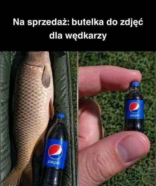 BrunoJasienski's tweet photo. https://t.co/HnpO9DPigY