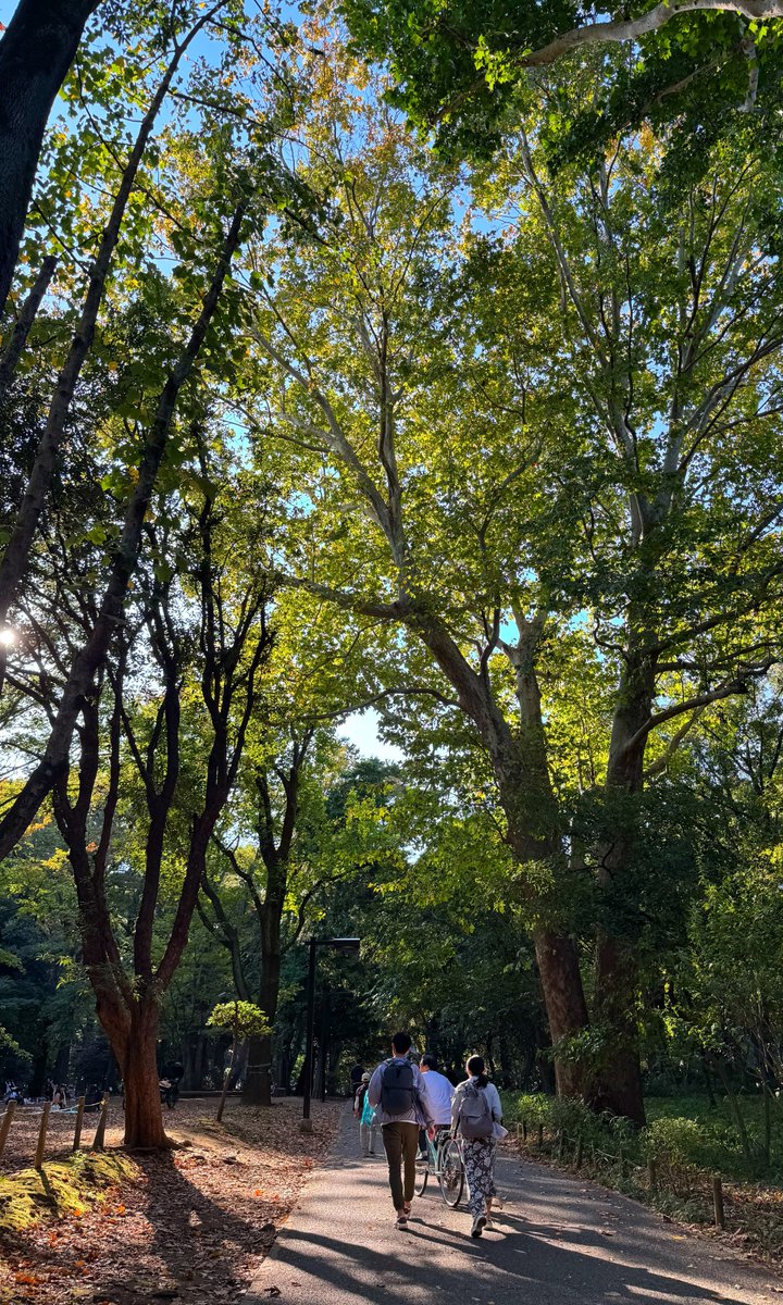 first_drip_beer's tweet photo. 林試の森公園はまだまだ秋の雰囲気にはなっていなかった https://t.co/oWxch2WFAH