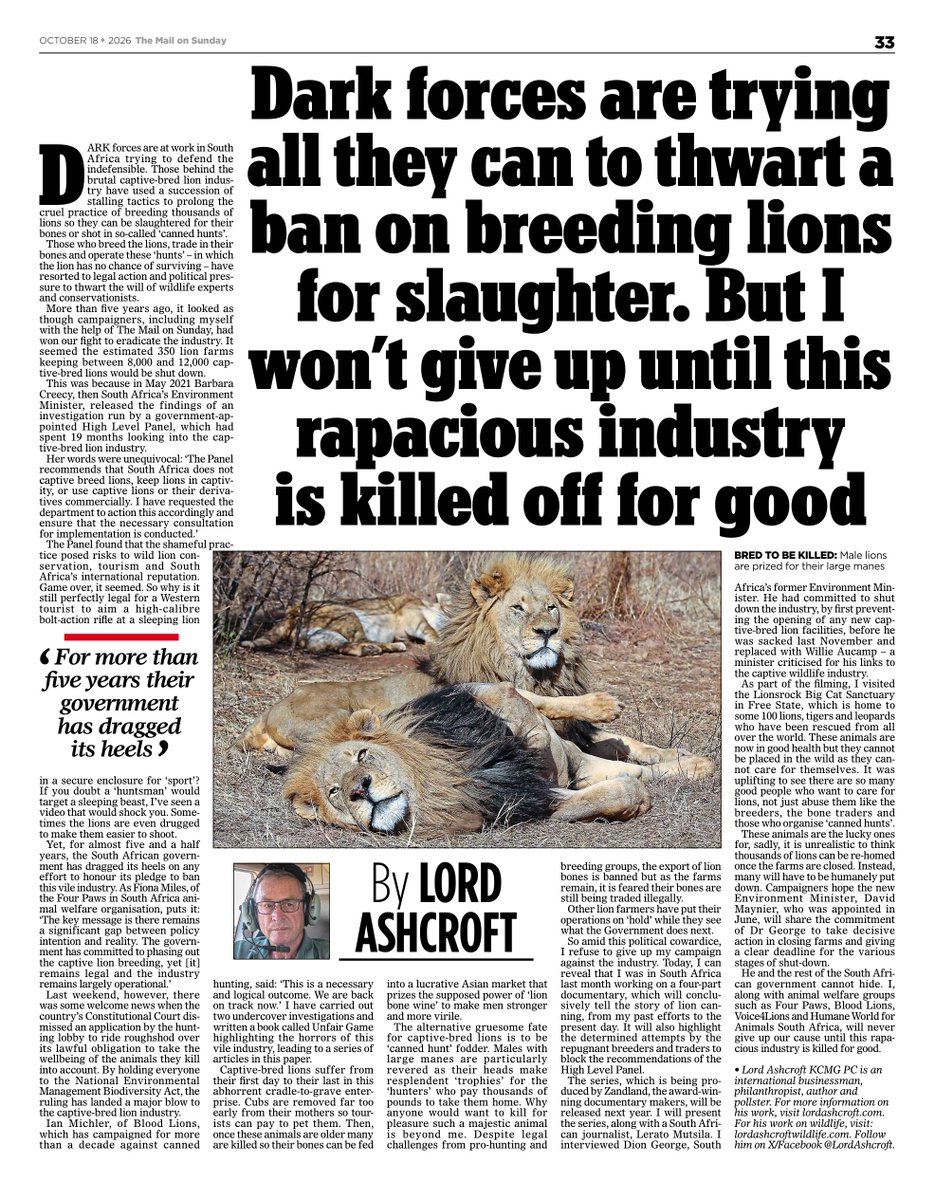 LordAshcroft's tweet photo. My article in The Mail on Sunday (@DailyMail) on why the South African Government needs to stop its endless delays in bringing in tough new laws to ban the cruel captive-bred lion industry https://t.co/wmX2A3n4nL