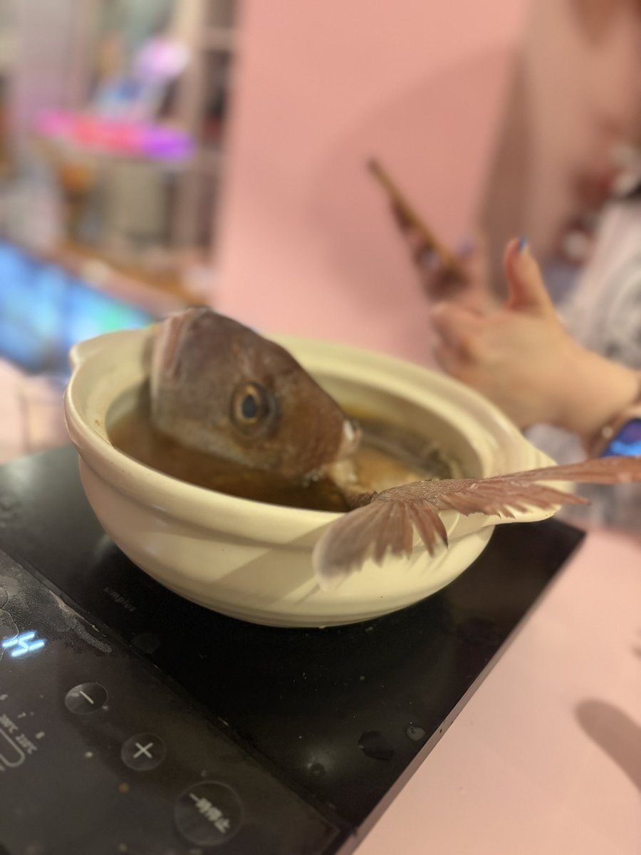 kraancolon's tweet photo. カランコロンからお願いです。
急に鯛を持ち込んで
ウロコを卓に撒き散らして
鯛汁を作る行為は以後禁止と致します。 https://t.co/0uWgedz4fb