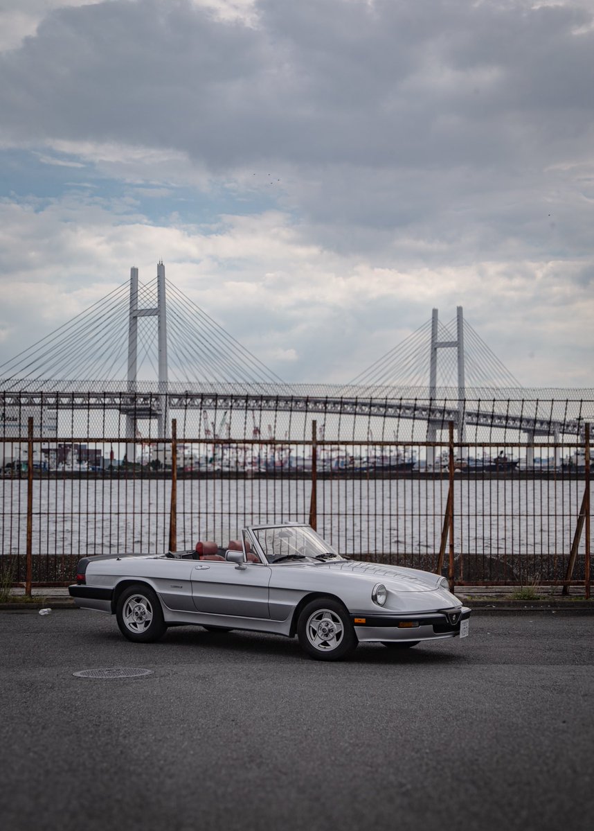 shibata_kota00's tweet photo. たまらなく
心が乾く日は…
#横浜
#勝手にしやがれヘイブラザー
#alfaromeospider
#アルファスパイダー https://t.co/w3E1SVvUFR