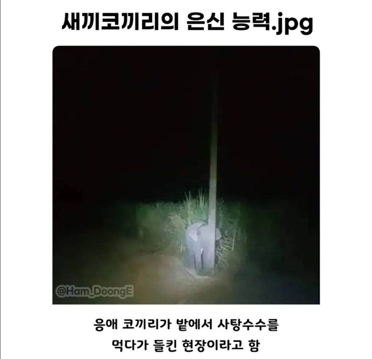 gimyeom74946666's tweet photo. 이거 아기 이바 https://t.co/RdynAX1ubn