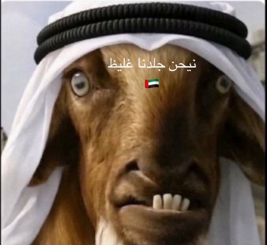 r_jb511's tweet photo. @uae_971d https://t.co/BHZbsq1K8o