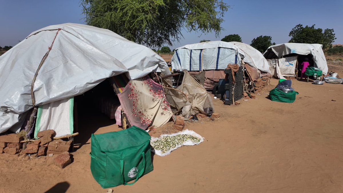 KSRelief_EN's tweet photo. To support the Sudanese people and alleviate their suffering, #KSrelief distributes 2,000 shelter kits at Al-Ban Al-Jadeed Camp in North Kordofan State, #Sudan, benefiting 8,458 people as part of the 2026 Madad Initiative in Sudan. https://t.co/UNNVhGWTWH