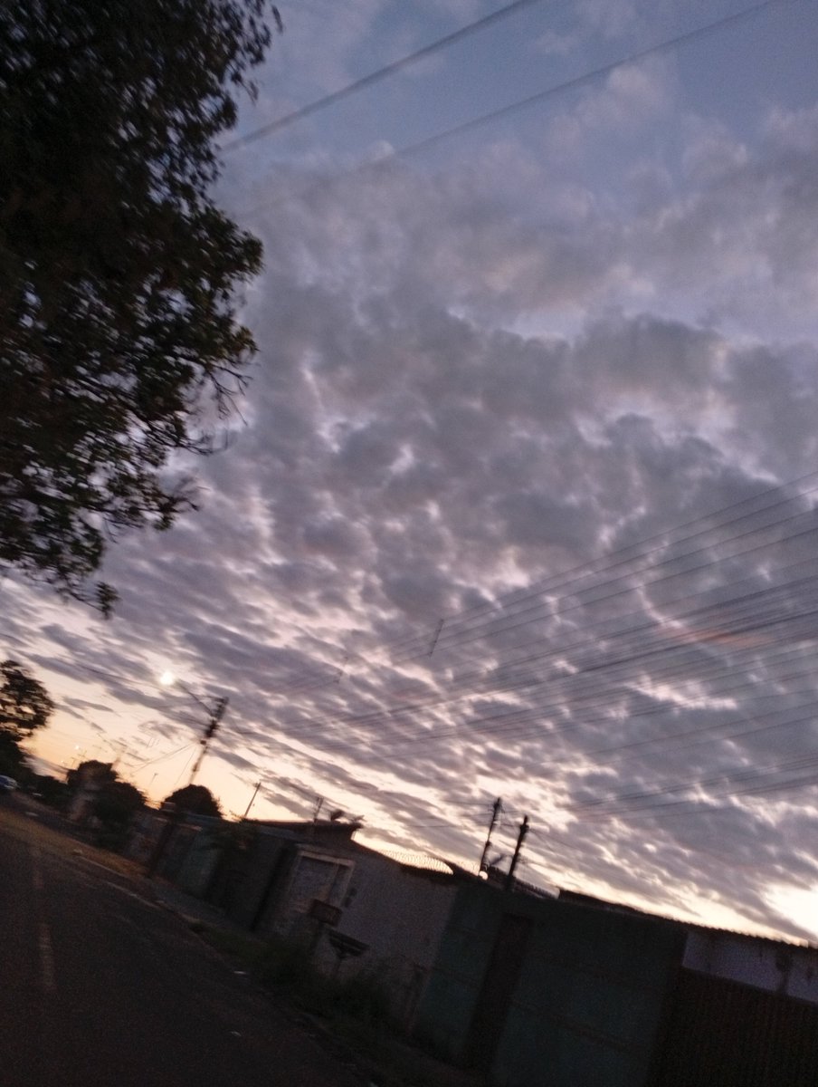 eaevitoriaaaa's tweet photo. Odeio toque físico com qualquer pessoa, mas com vc pretinho, até que eu tô gostando! Vc olhou pra me com os olhos brilhando ao ver o por do sol cmg, coisa que NGM fez por mim! Eu tenho medo de te machucar, n posso fazer isso cm você, vc é tão puro. 🤍 https://t.co/qItLS8rkQo