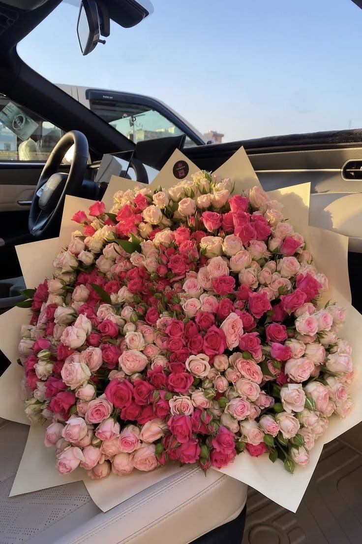 Liliestulipssss's tweet photo. https://t.co/SkIdj18e1z