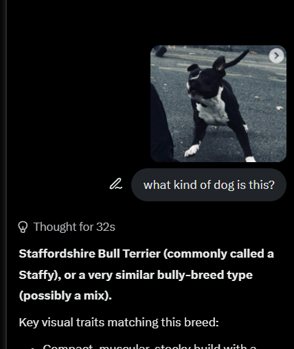 AnonnDevv's tweet photo. THIS IS SO FUCKIGN GOOD A DOG WAS LITERALLY FIGHTING THE FRENCH POLICE??

AND ITS GOING GIGGA

HELLO??
https://t.co/JSh3VBkcJ5 https://t.co/Dqsq0XB4J5