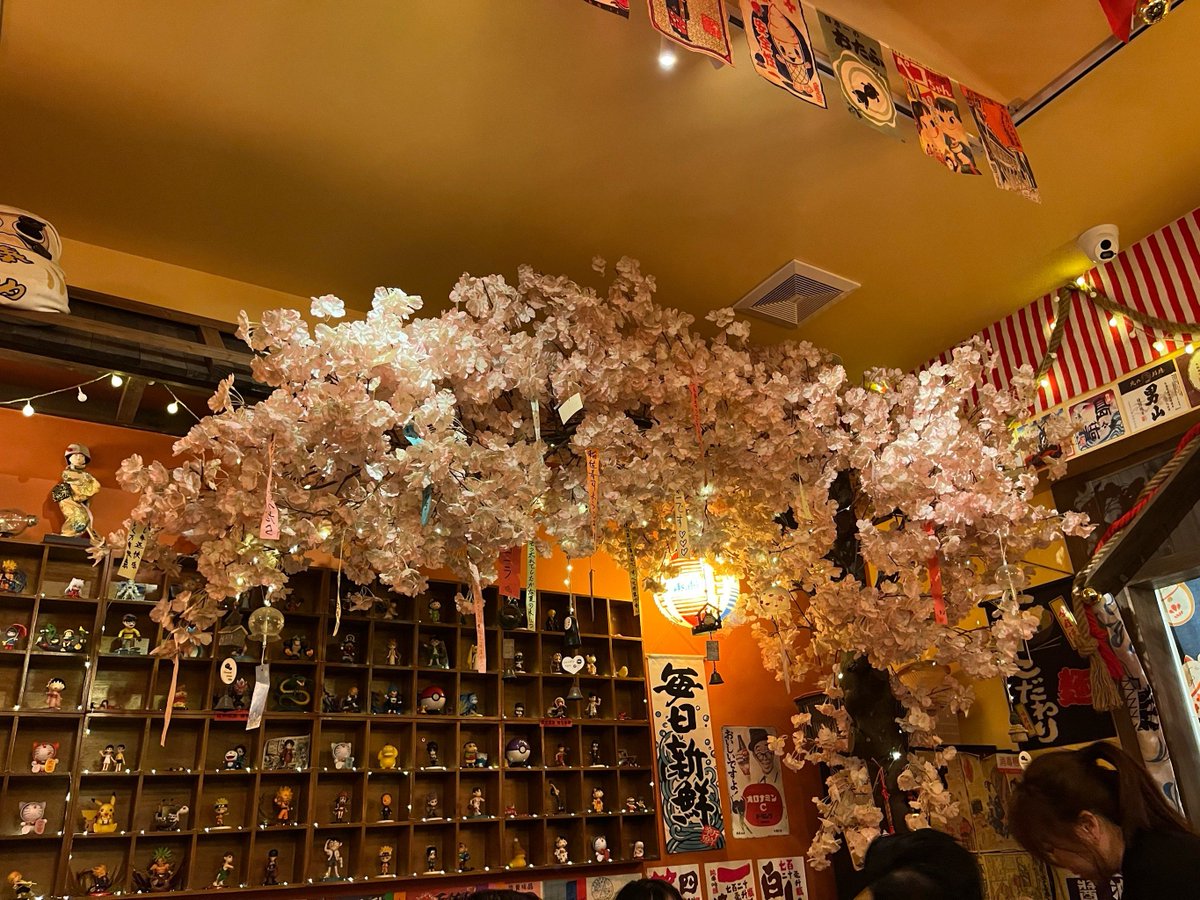 landscape_manta's tweet photo. [酒と茶のお店で、最高の時間を過ごす]， https://t.co/BcKZ9hRLS2