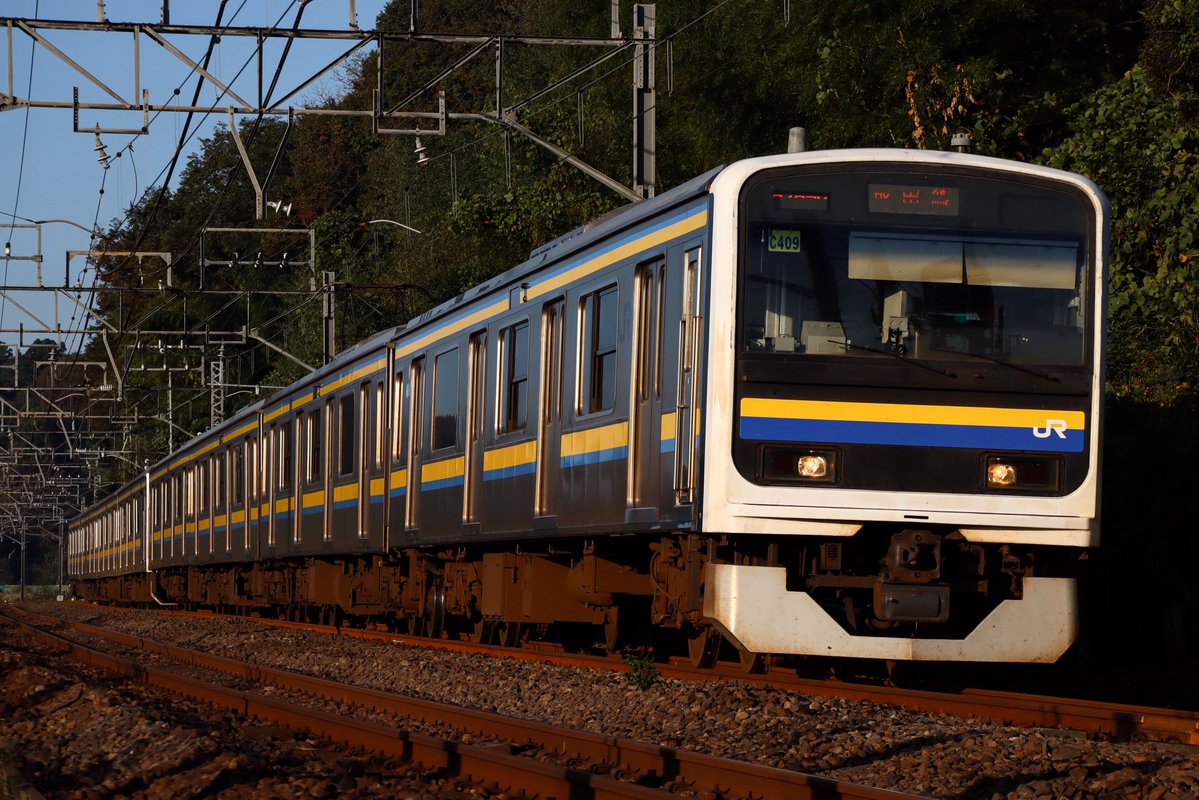 TD_8172's tweet photo. 総武本線 ヨツモノ朝活　
209系を早いこと記録しておこう(手遅れだが)と思い2日連続でヨツモノへ。
朝光線がとてもエッチで最高でした。
2026.10.18 https://t.co/6k9ELEcWGH